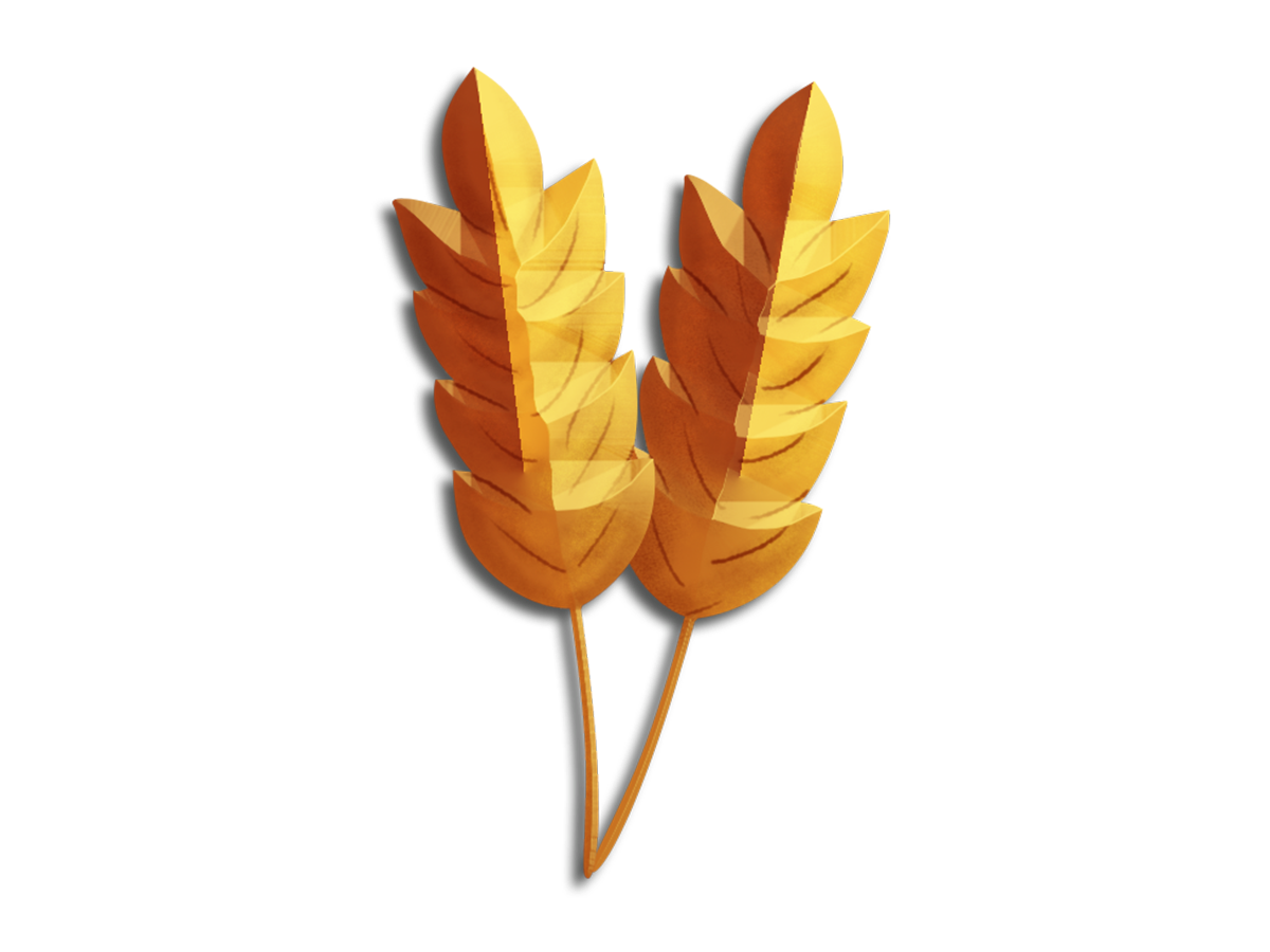 Wheat Zoomer 01